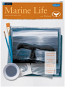 Learn to Paint Marine Life Book