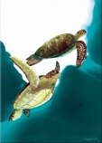 Sea Turtle Flight Pin