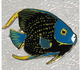 Angel Fish Pin