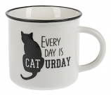 Everyday is Caturday Mug