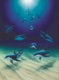 Dolphin Heaven Pin
