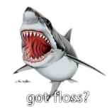 Got Floss? T Shirt